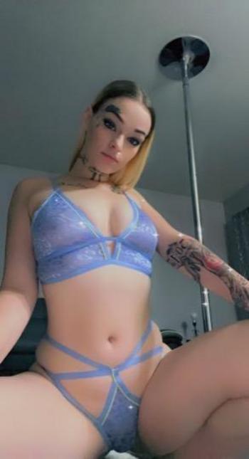 2522387294, female escort, Asheville